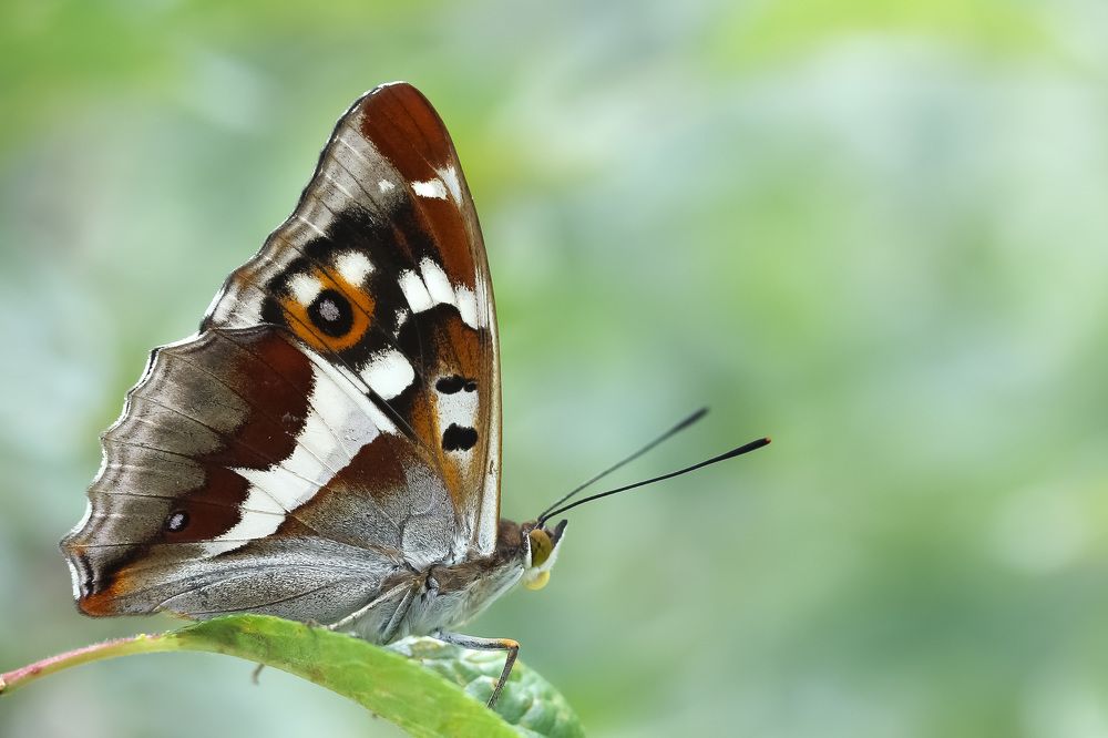 Photograph by Наталья Гайдукевич