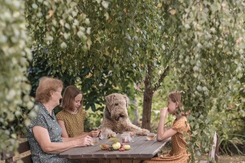 Дачное чаепитие