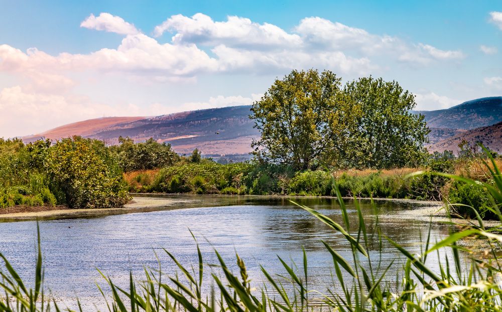 Photograph by Gitin Leonid