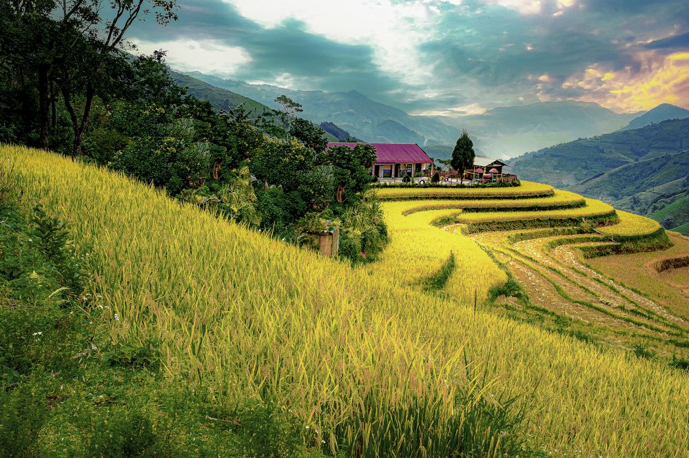 Photograph by PHƯƠNG NGUYỄN THÀNH