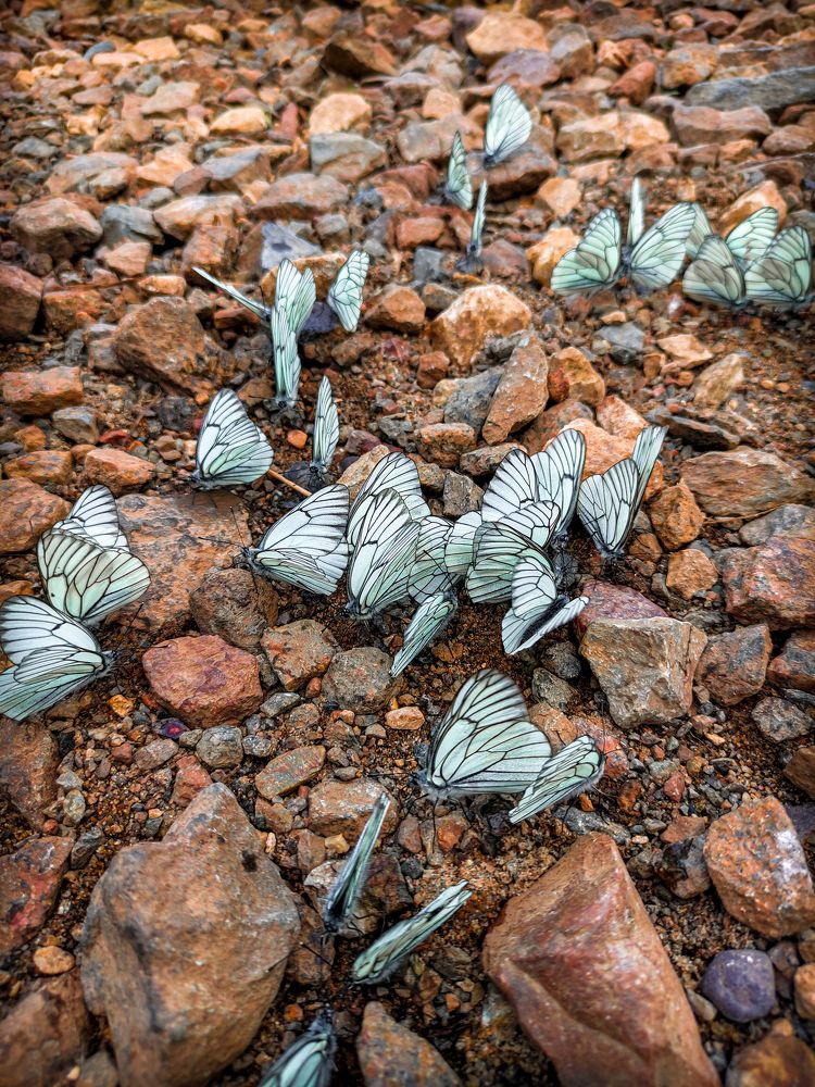 Фотография автора Александр Хухлов