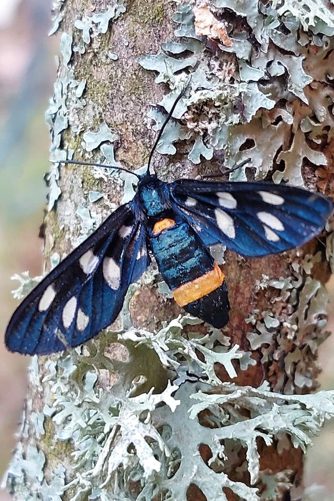 Photograph by Олена Лукашевич