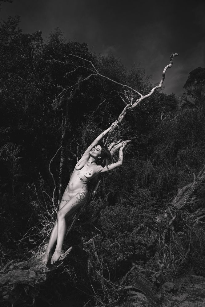 Photograph by Alexandre Langer