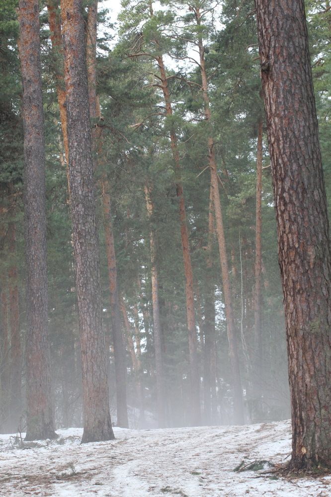 Photograph by Николай Николаевич Леухин