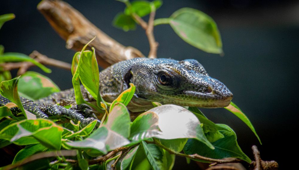 Photograph by Толян Бууулочкин
