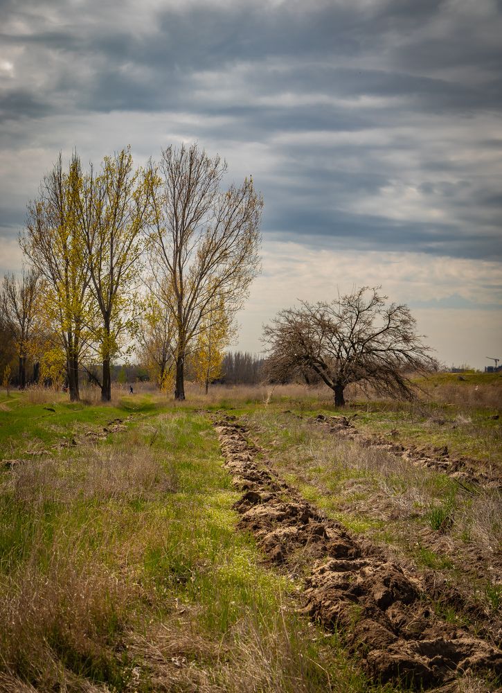 Photograph by Владимир Самосватов