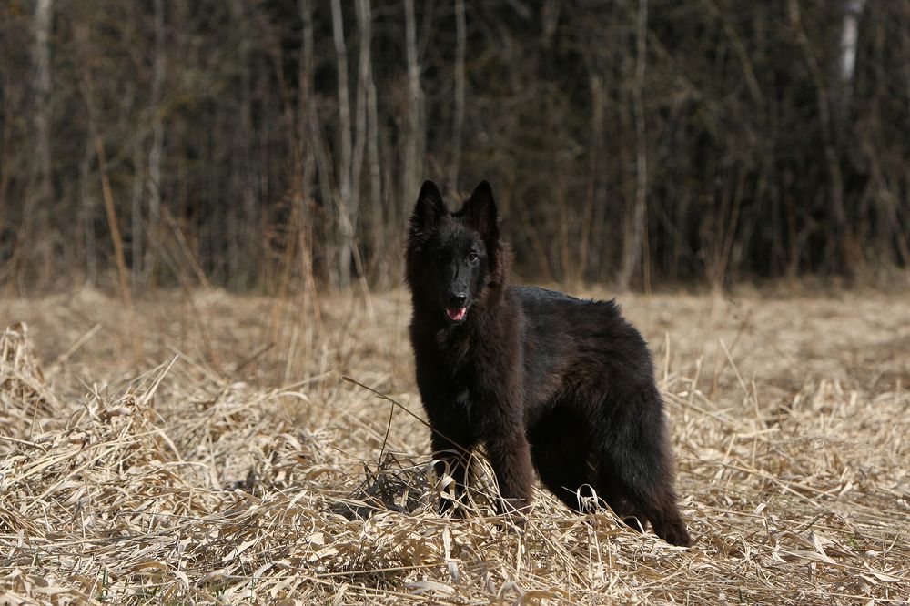 Фотография автора Надежда Лисицына