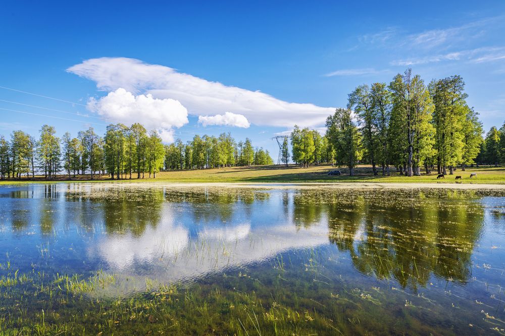 Photograph by Noureddine Belfethi