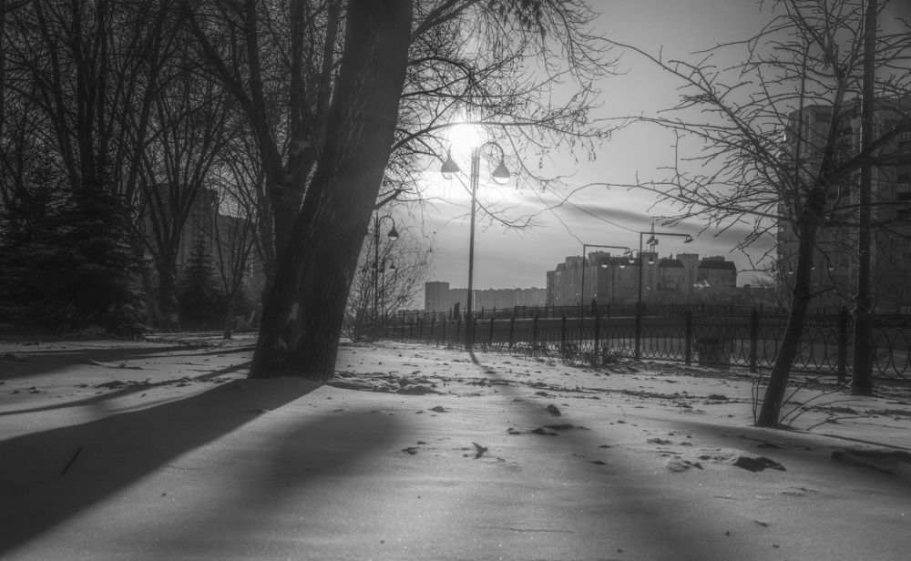 Photograph by Владимир Самосватов