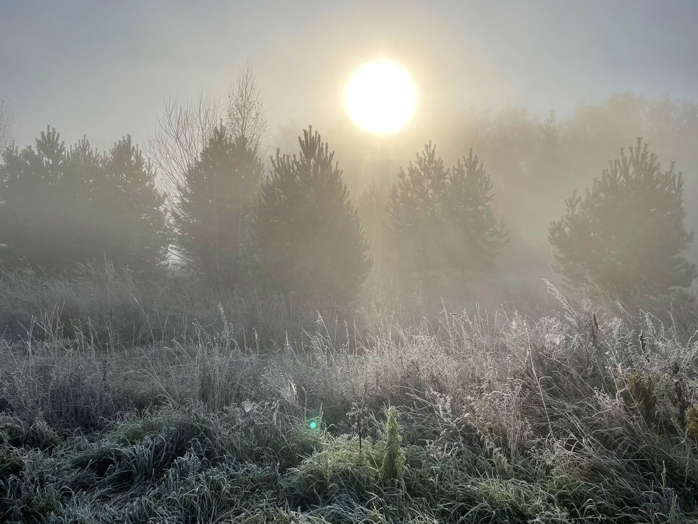 Photograph by Николай Хрупов