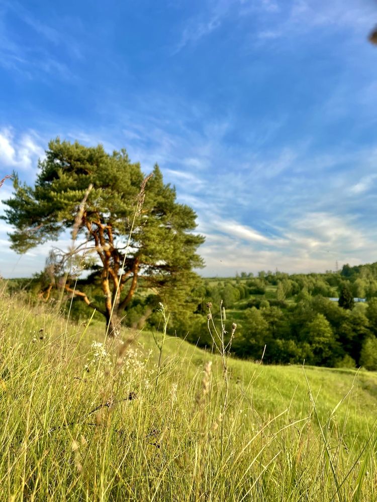 Photograph by Николай Хрупов