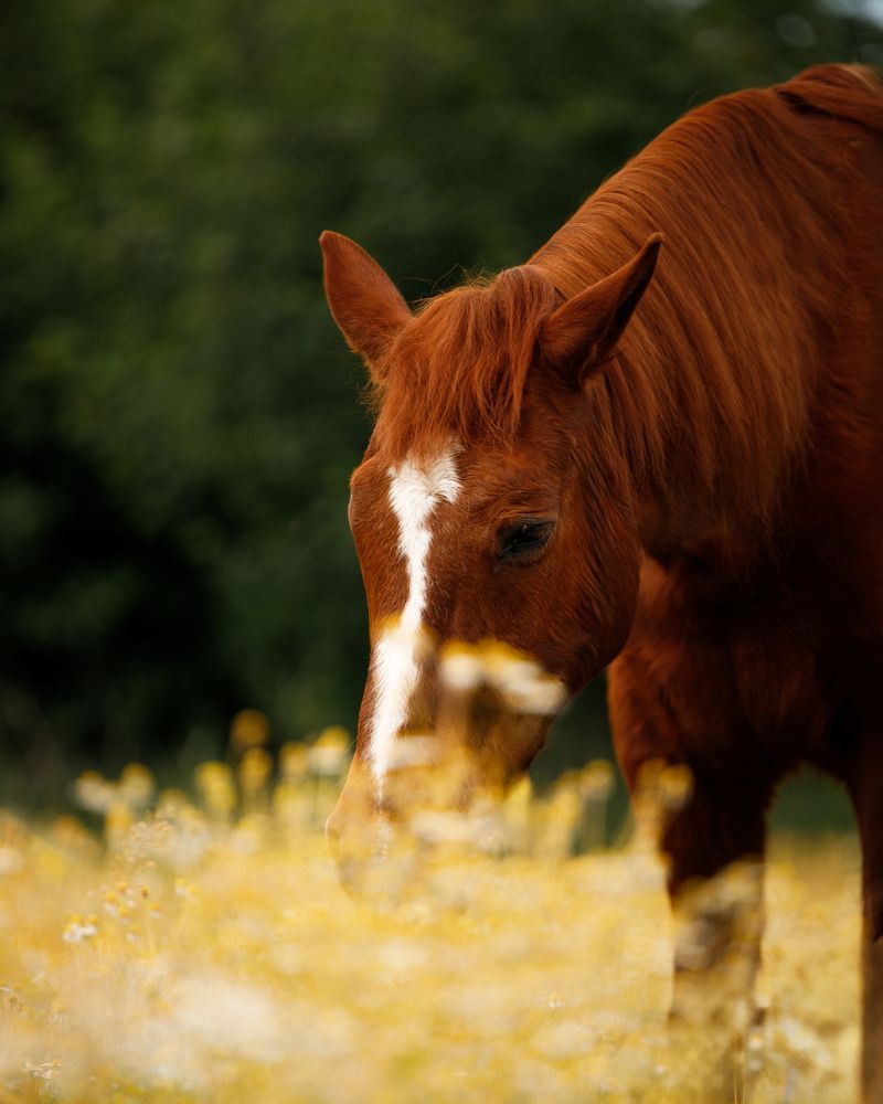 Photograph by Ольга Войчишина
