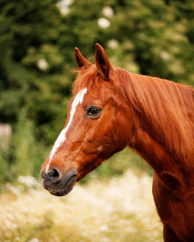 Photograph by Ольга Войчишина