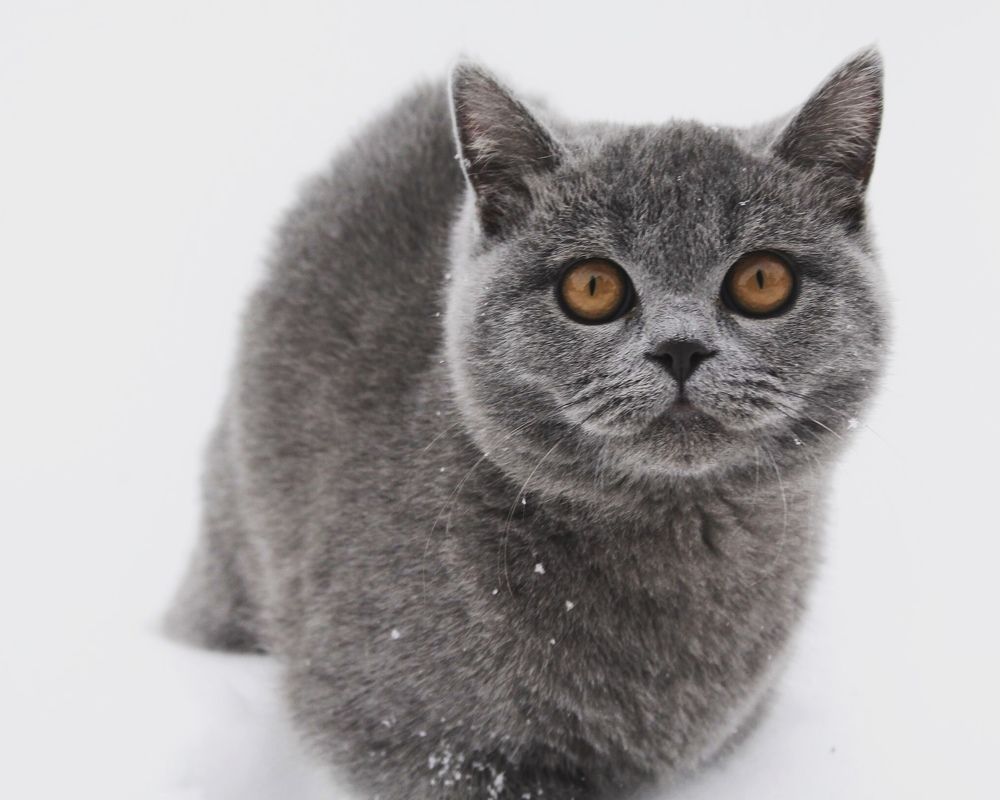 Photograph by Ольга Войчишина