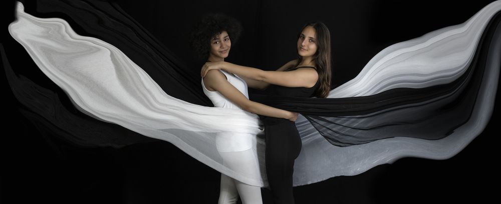 white and black swans