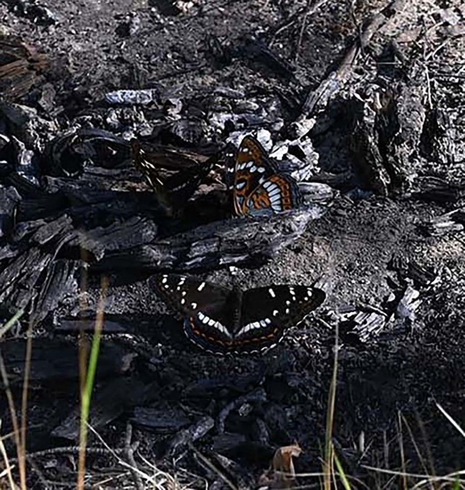 Photograph by Ксения