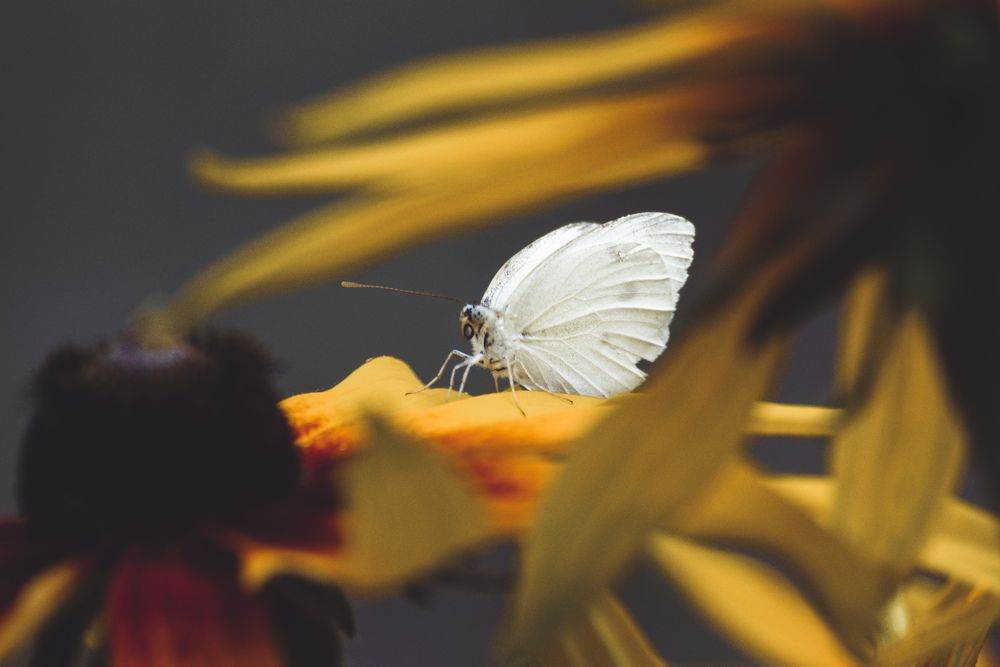 Photograph by Ольга