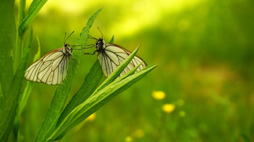 Photograph by Анастасия Морозова