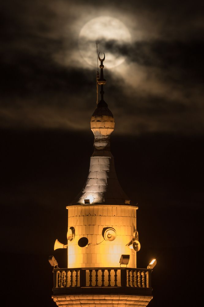 Photograph by Seif Eddine Alaa