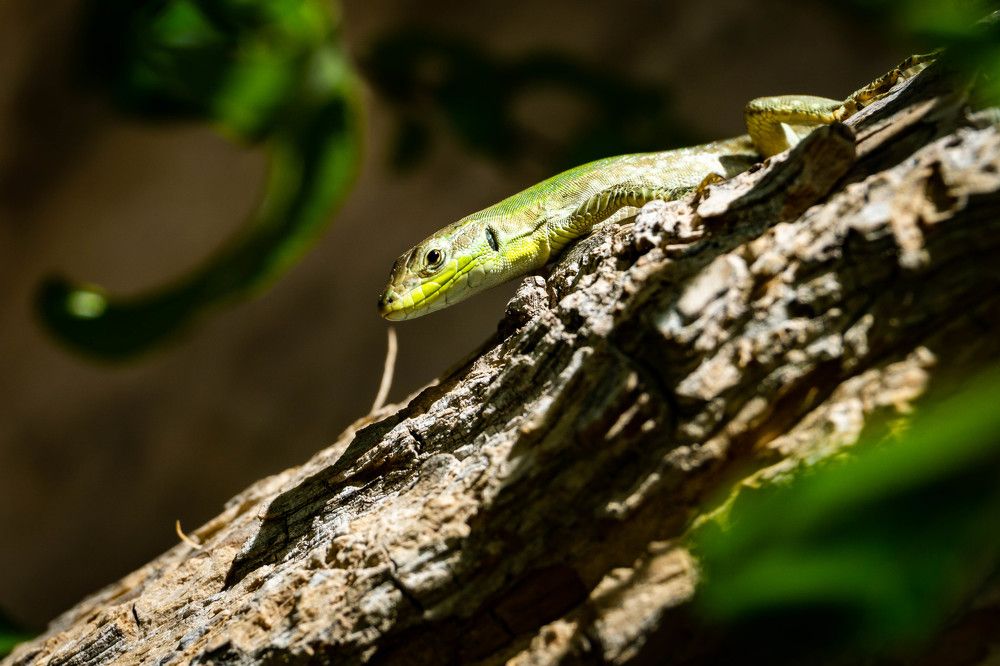 Фотография автора Minja Jovetic