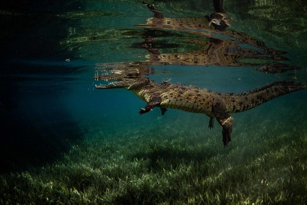 Photograph by vinay abraham mathew