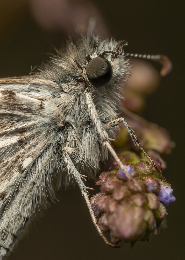 Photograph by Jose Vega