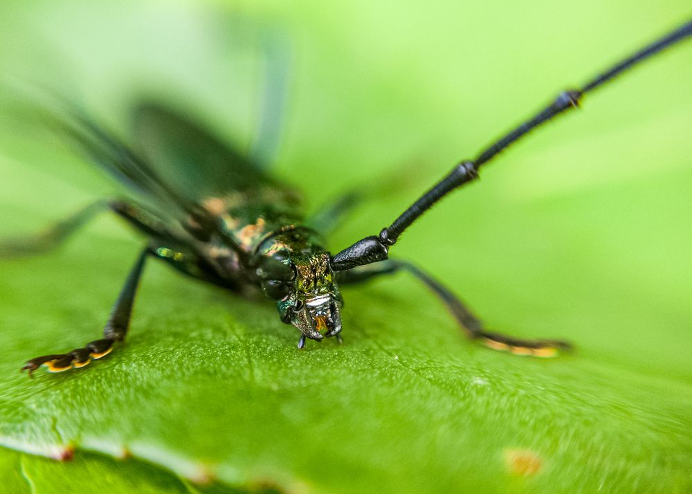 Photograph by Алексей Крукович