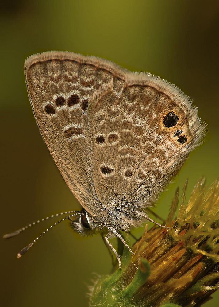 Photograph by Jose Vega