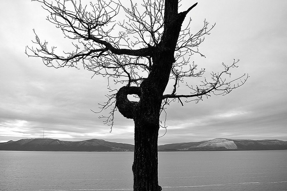 Photograph by Галина Купцова