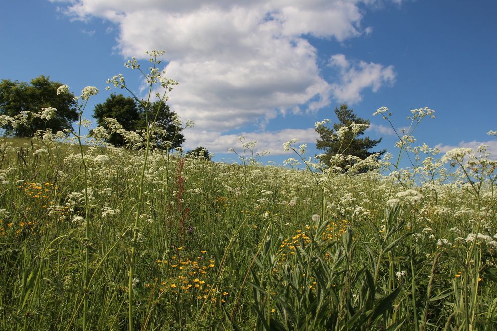 Photograph by Валентина