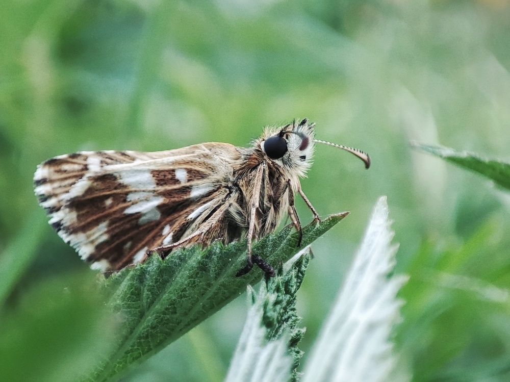 Photograph by Алина Эбель