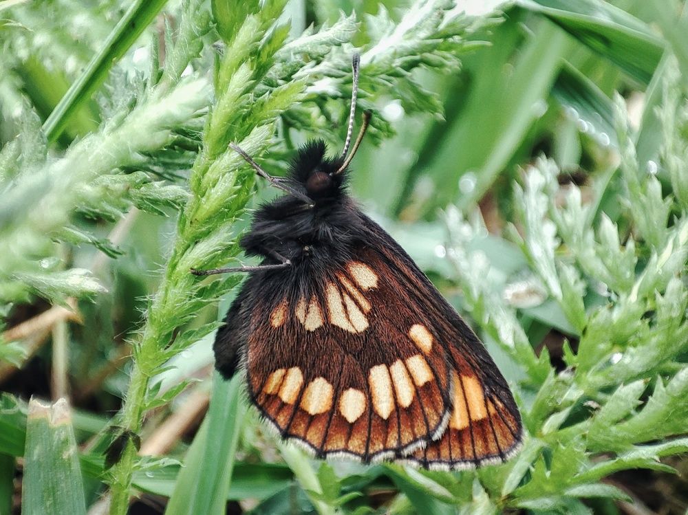 Photograph by Алина Эбель