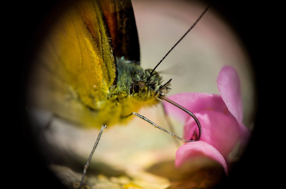 Photograph by EELIN Chan