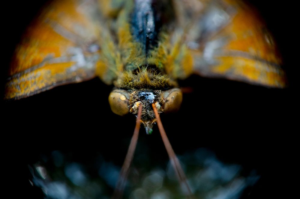 Photograph by EELIN Chan