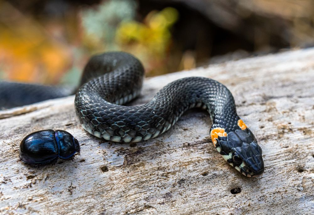 Photograph by Наталья