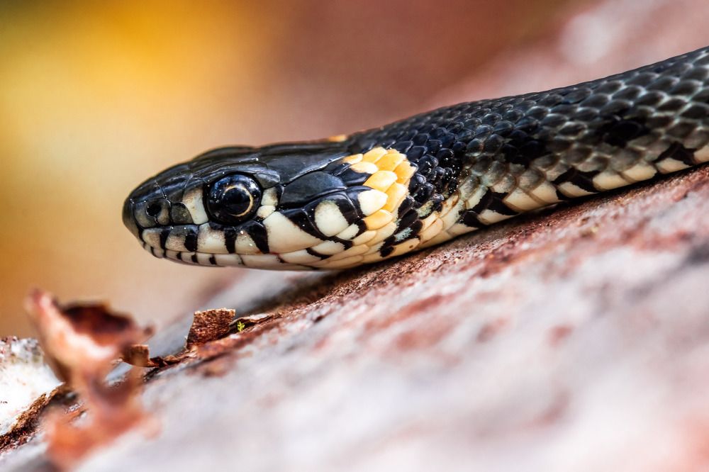 Photograph by Наталья