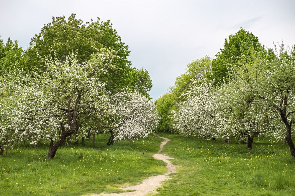 Photograph by Наталья