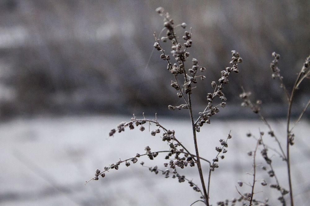 Photograph by Илья Юриков