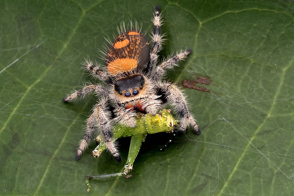 Photograph by VOON WAH WONG