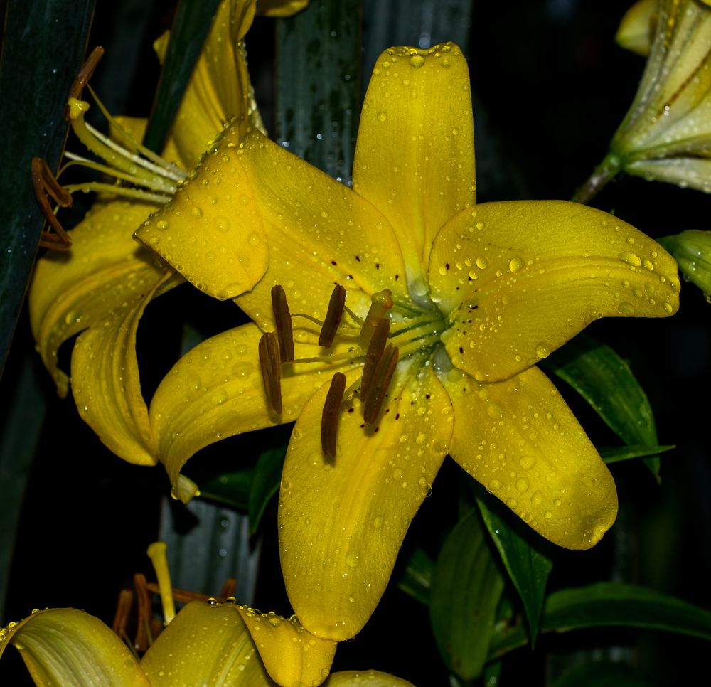 Photograph by Олег Башкуров