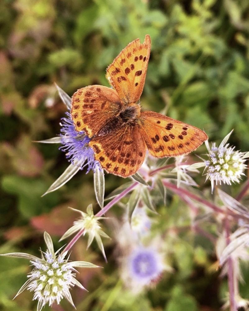 Photograph by Татьяна Волохова