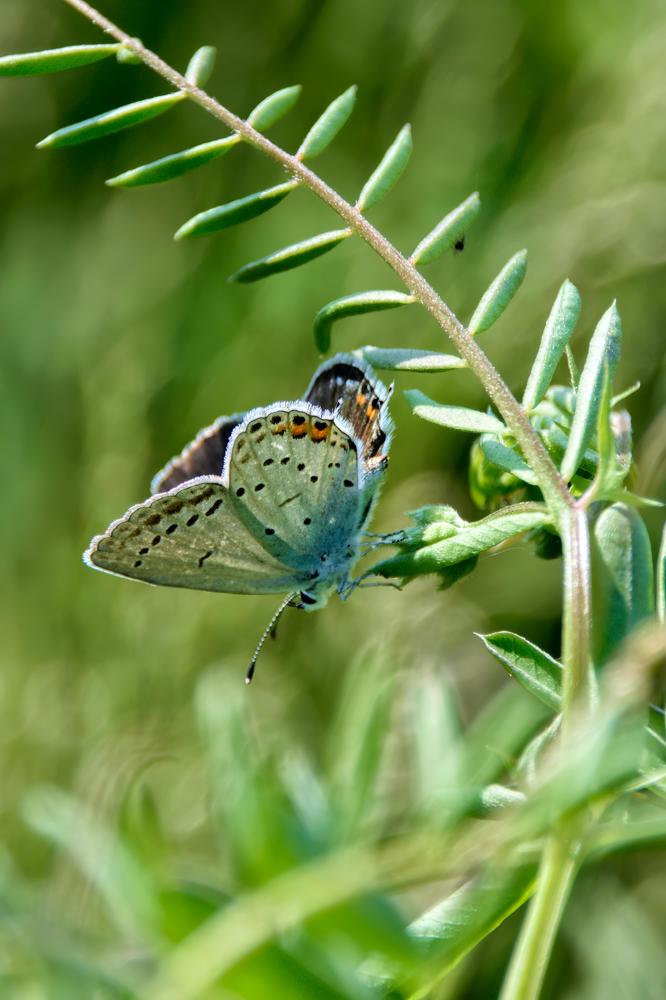 Photograph by Виктория Лобанова