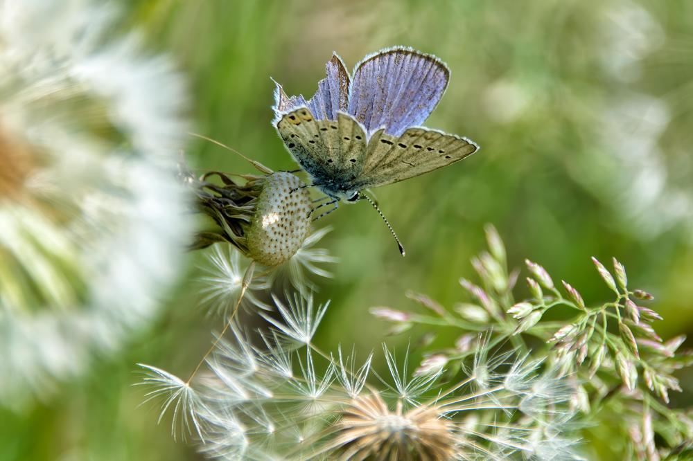 Photograph by Виктория Лобанова