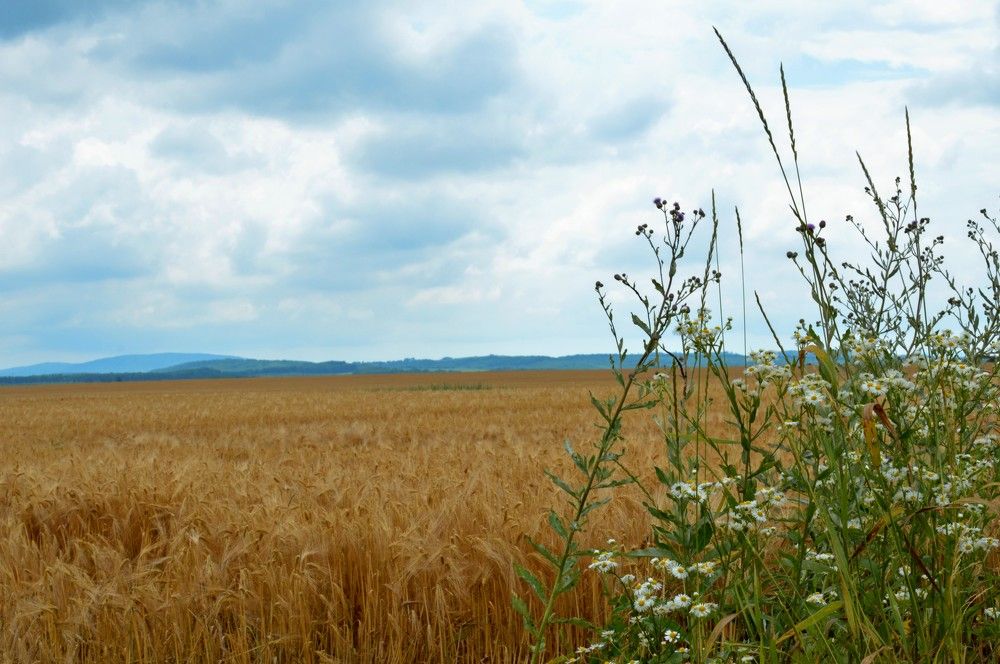 Photograph by Ольга Шевцова