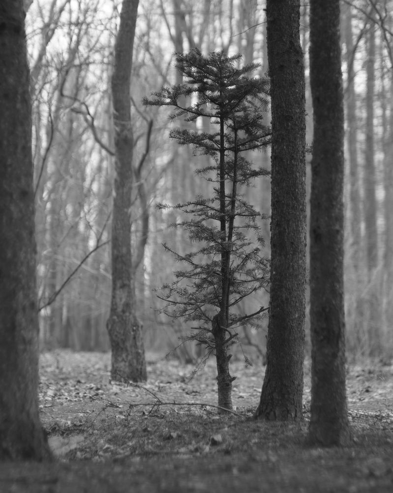 Фотография автора Сергей Затямин