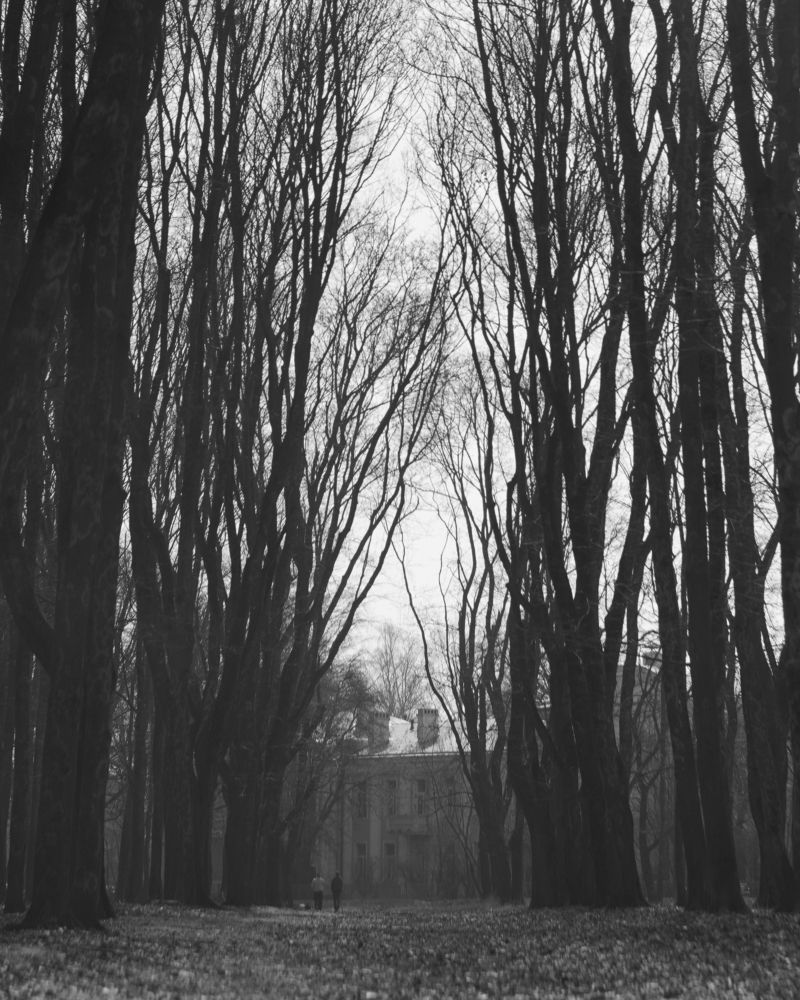 Фотография автора Сергей Затямин