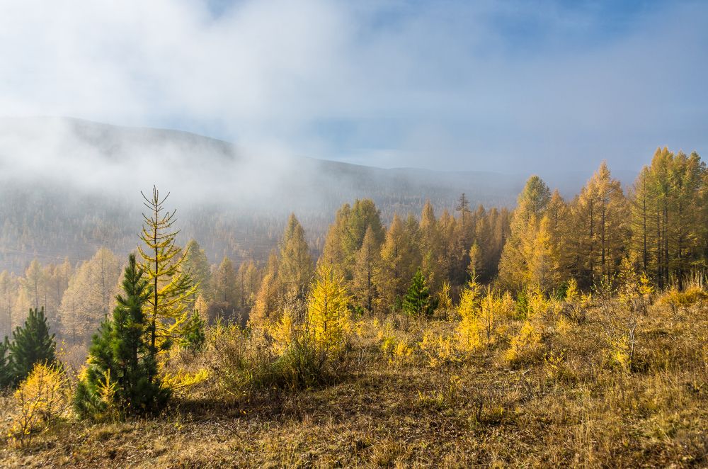 Photograph by Татьяна