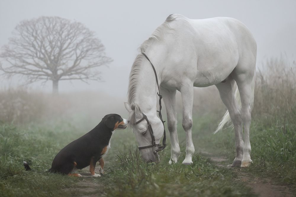 Photograph by Светлана Писарева