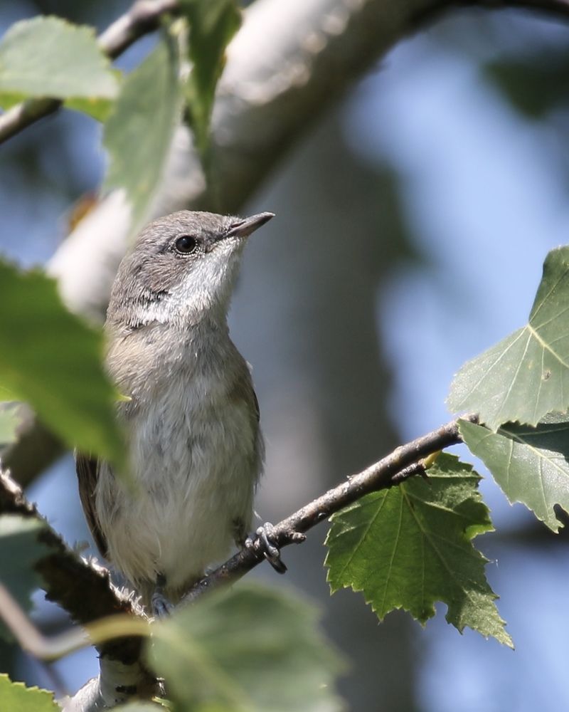 Photograph by Александр Затямин