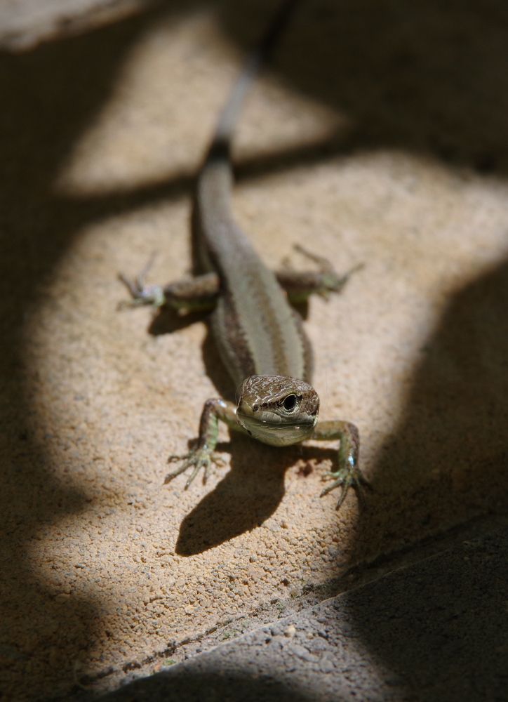 Photograph by Елена Щитова